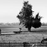 Vivid portrait of village life in Parr's final photos