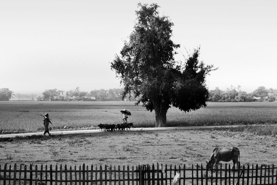 Vivid portrait of village life in Parr's final photos