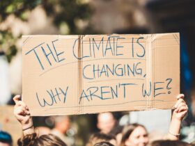 Climate Science Communication and Public Understanding