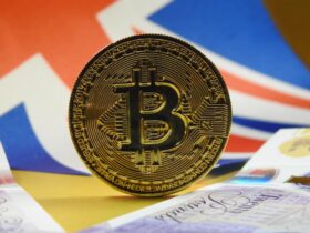 Digital Inclusion in Britain and Everyday Access