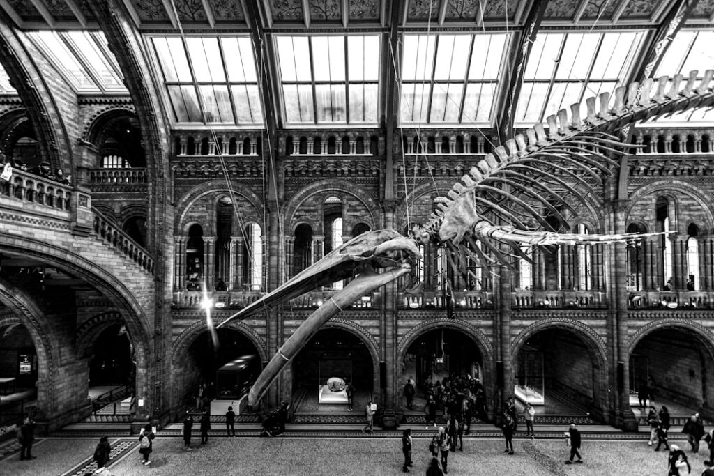 Museum Visits in England