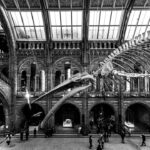 Museum Visits in England and Cultural Recovery