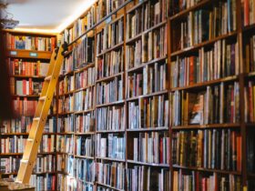 Public Libraries in Britain and Community Life