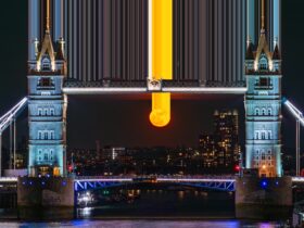 Quantum Technology in Britain and Scientific Strategy