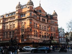 Cambridge Theatre and Live Performance: Audiences, Access and Local Culture