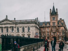 Business Investment in Cambridge: What Drives Confidence and Growth