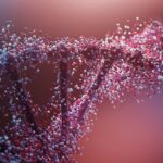 Genomics in Cambridge: Research, Personalised Medicine and the Limits of Hype