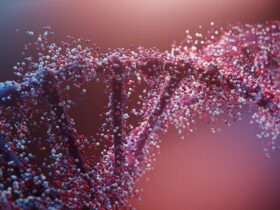 Genomics in Cambridge: Research, Personalised Medicine and the Limits of Hype