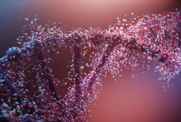 Genomics in Cambridge: Research, Personalised Medicine and the Limits of Hype